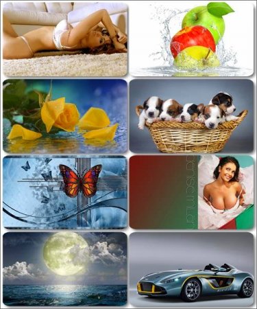 ���� �� ����� ���� - ������� �������� �������� (����� 23)