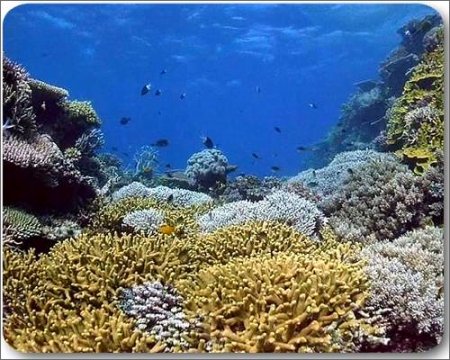 Aqua World - ����� ���� ��� �������� �����