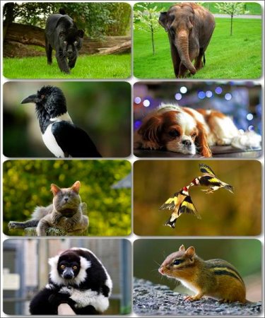 �������� �������� - ��������� ���� ����� (����� 25)