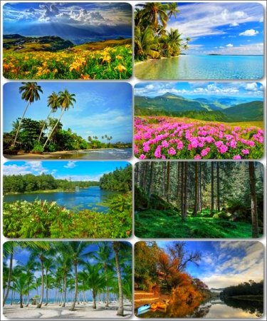 ���� ����������� �������� ������� - ���� ������ 18