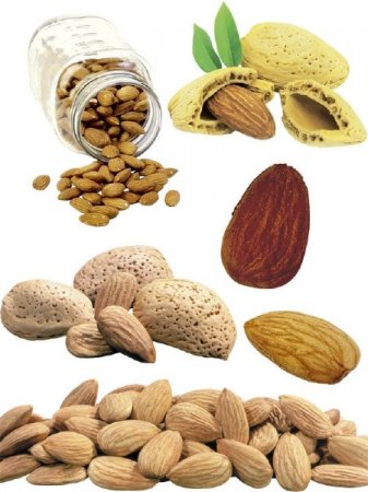 �����: ������� (�������� �����������)