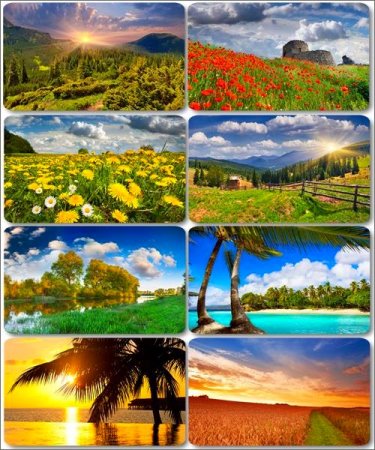 ���� ����������� ������� - ���� ������� (������ 21)