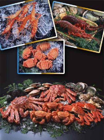 ������������: ��������, ����� � �����