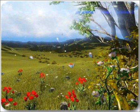 Magic plain - ����� ���� ��� �������� �����