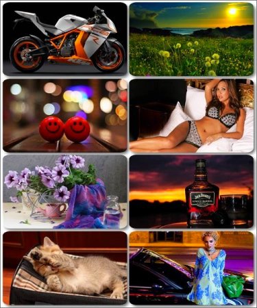 ��������� HQ ����� � ��������� ���������� ����� 25