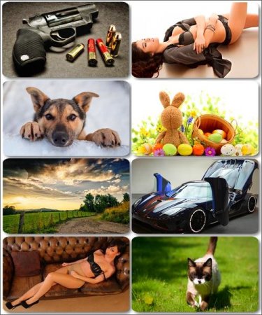 Mix ��������� �������� - ���� ��� �������� ����� (����� 30)