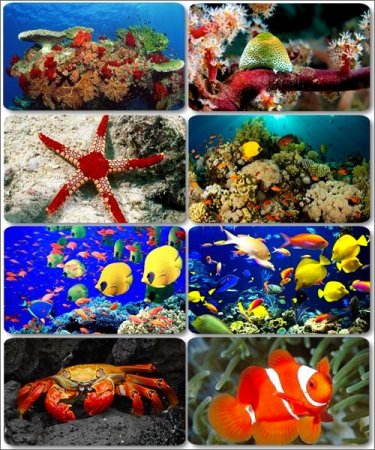 ���� � �������� ������� ������ - ���� �� ������� ����