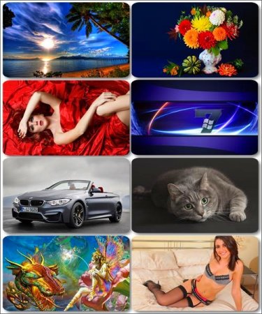 ���� �� ����� ���� - ������� �������� �������� (����� 30)