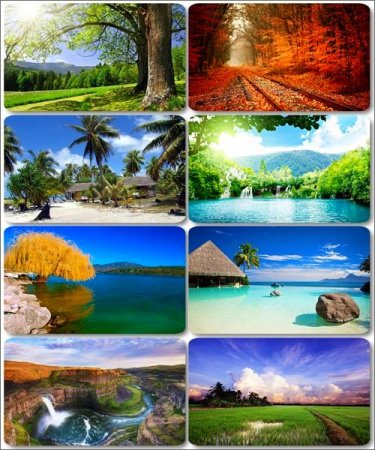 ����������� �������� ������� - HD ���� 2560x1600 ����� 11