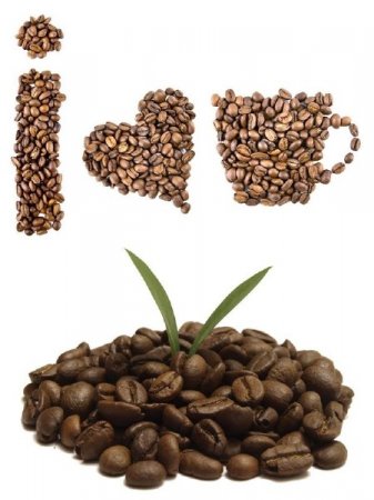 ��������: ����� ����