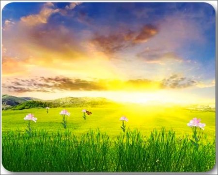 ����� - ����� ���� ��� �������� �����