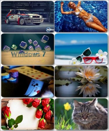 ���� �� ����� ���� - ������� �������� �������� (����� 31)