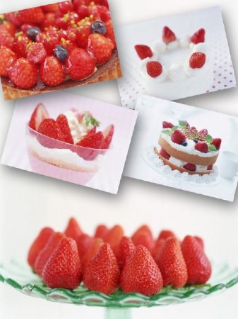 �������� � ������� �� ��������