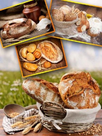  ����, ����, ������� - ���� ����������