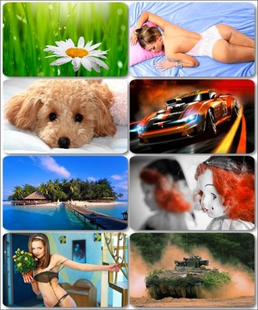 Mix ��������� �������� - ���� ��� �������� ����� (����� 31)