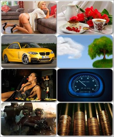 ���� �� ����� ���� - ������� �������� �������� (����� 32)