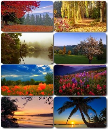 ���� ����������� �������� ������� - ���� ������ 20 