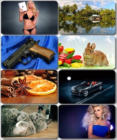 ���� �� ����� ���� - ������� �������� �������� (����� 35)