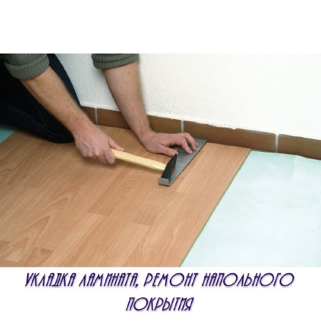 ������� ��������, ������ ���������� �������� (2014)