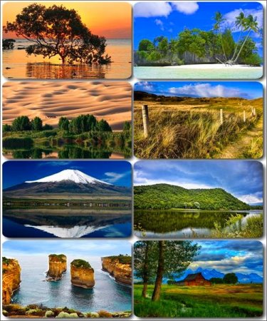 ���������� ������� - ���� � ���� ������� (������ 26)