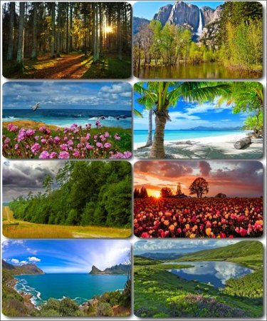 ����������� �������� ������� - HD ���� 2560x1600 ����� 14