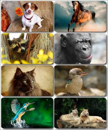 �������� �������� - ��������� ���� ����� (����� 35)