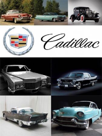 �������� (������������ ������������ ����������) �������� �����������