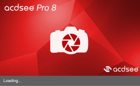 ACDsee Pro 8.0.262 (x86) Rus