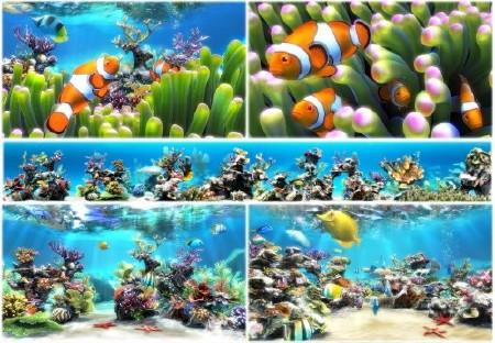 Sim Aquarium 3.8 Build 60 Premium RePack by Trovel (2014)