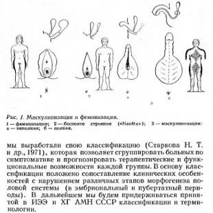 ���������������� ��������������� ����������