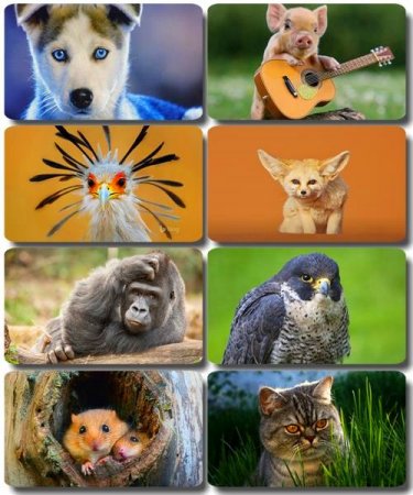 �������� �������� - ��������� ���� ����� (����� 38)