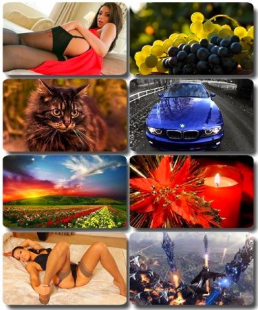 Mix ��������� �������� - ���� ��� �������� ����� (����� 48)