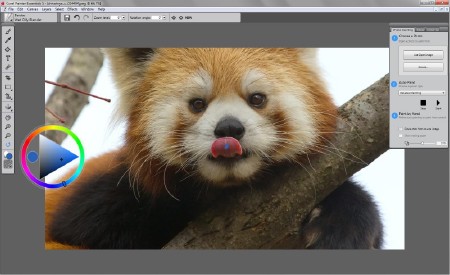 Corel Painter Essentials 5.0.0.1102 (2014/ML/ENG)