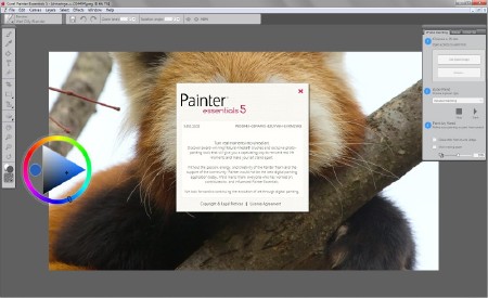 Corel Painter Essentials 5.0.0.1102 (2014/ML/ENG)