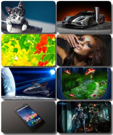 ���� �� ����� ���� - ������� �������� �������� (����� 47)