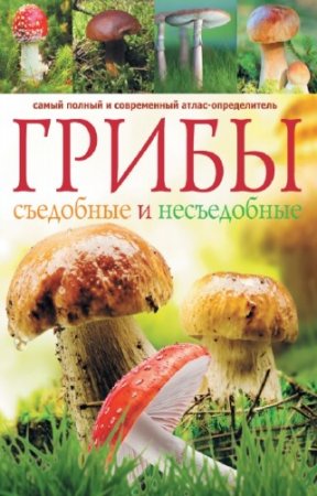 ������� �.�. - �����. ��������� � �����������