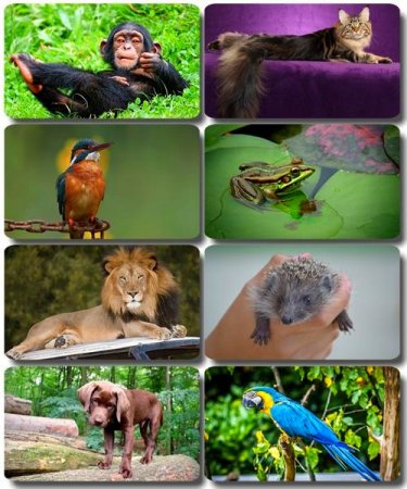 �������� �������� - ��������� ���� ����� (����� 42)