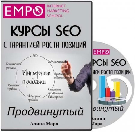 ����� SEO � ��������� ����� �������. ����������� �������. ������� (2014)