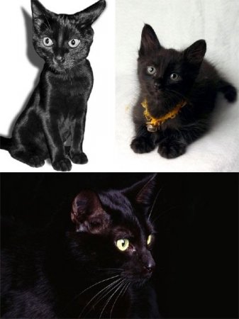 ������ ������ (�������� ����������)