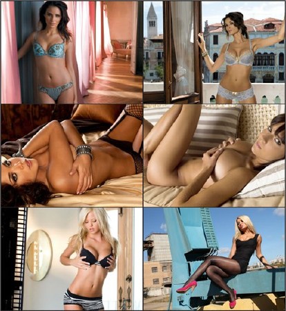 ������� � ����������� �������� - ��� 388