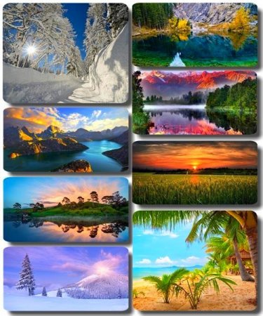 ���� ����������� �������� ������� - ���� ������ 24