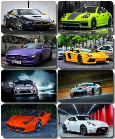 ���� ���� - �������� � ���� ����������� (����� 31)
