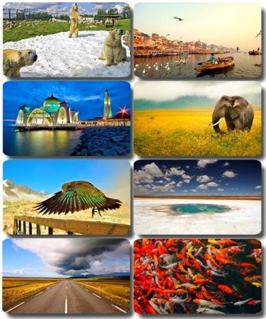 ���� ��� �������� ����� �� National Geographic