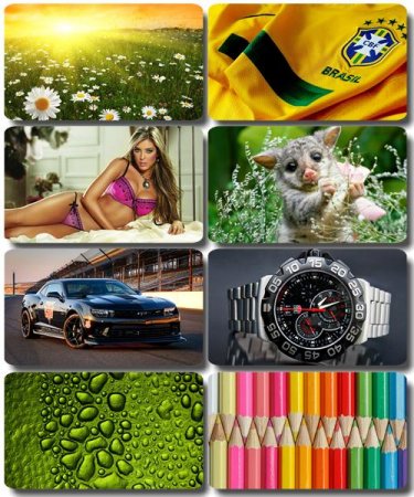 Mix ��������� �������� - ���� ��� �������� ����� (����� 55)