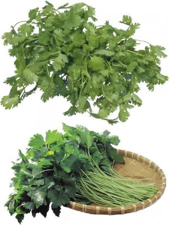 ������, ��������: ����� (�������� ��������)