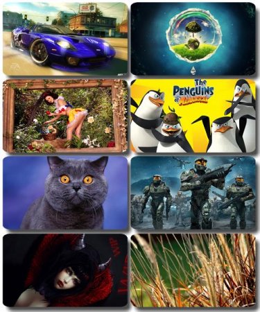 ���� �� ����� ���� - ������� �������� �������� (����� 51)