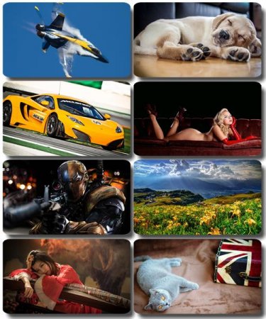 ���� �� ����� ���� - ������� �������� �������� (����� 52)