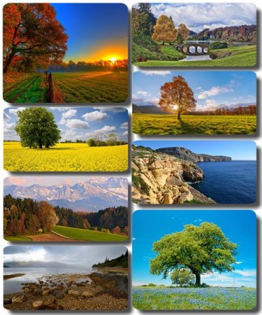 �������� ������� - ������� ����� � ���� (������ 36)