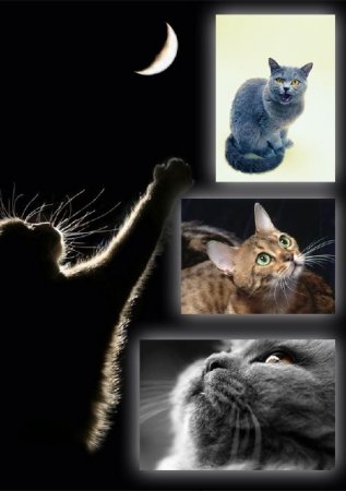 ���������� �������������� �����