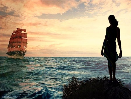 ��������� ���� - ������� ������������ (271 �����)